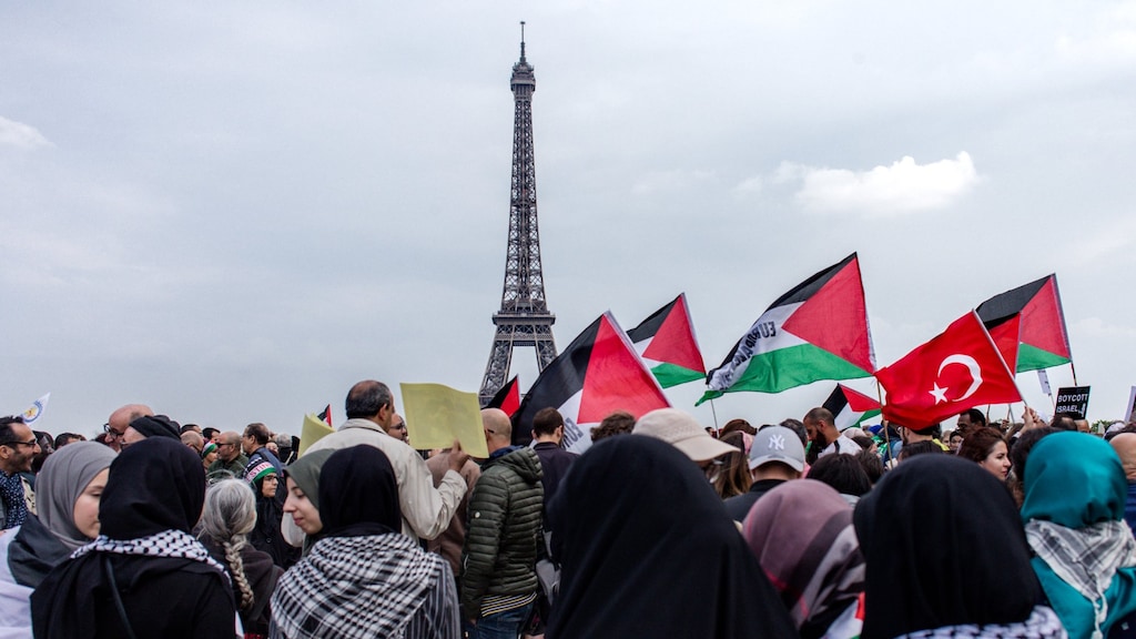 A pro-Palestinian demonstration in Paris.